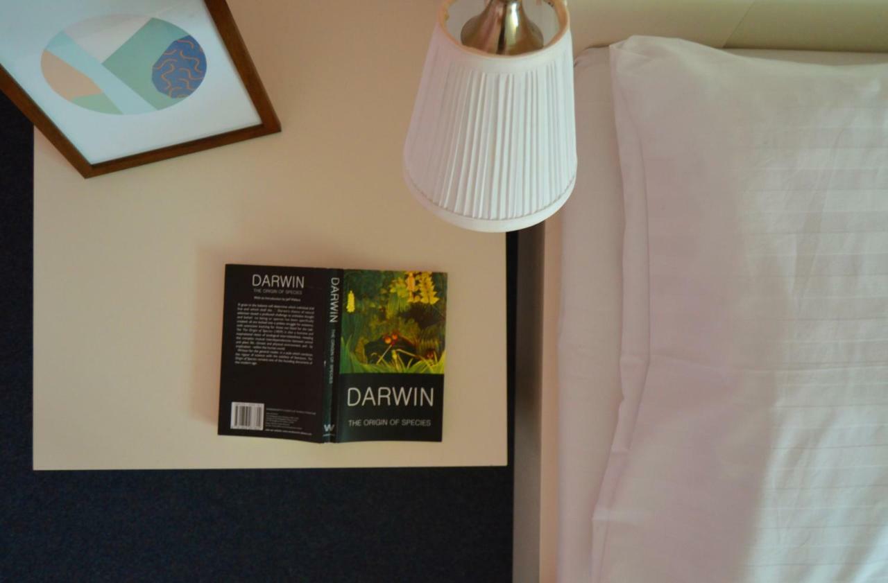 Motel Gombas Extérieur photo